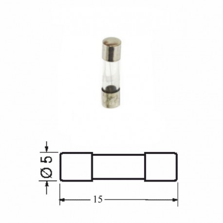 FUSIBILE RAPIDO 2,5A 5X15mm