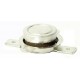 INTERRUTTORE TERMICO 60°C NORM. CHIUSO A FASTON 6,3MM ORIZZONTALI