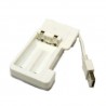 CARICA BATTERIA NI-MH USB AA / AAA ENELOOP
