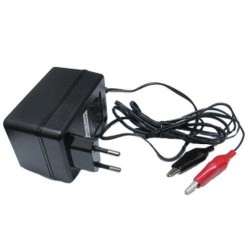 CARICA BATTERIE AL PIOMBO 12V 800MA