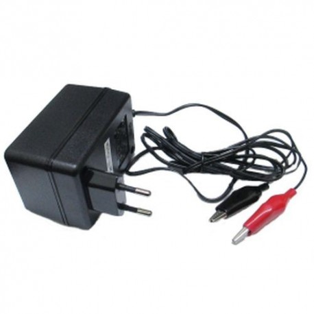 CARICA BATTERIE AL PIOMBO 12V 800MA