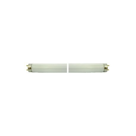 LAMPADA FLUORESCENTE T8/G13 L36W D26/ LUCE BIANCA 6K - LUNGH. 1,2MT