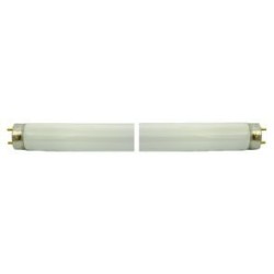 LAMPADA FLUORESCENTE T8/G13 L58W D26/ LUCE BIANCA 6K - LUNGH.1,5MT