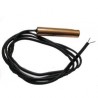 SONDA TEMPERATUR 10K NTC-30/100°C D6x30mm