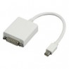 CAVO DISPLAYPORT MINI MASCHIO / DVI-I FEMMINA 20CM
