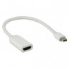CAVO Mini DISPLAYPORT Maschio / HDMI Femmina CAVO 20cm