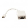 CAVO DISPLAYPORT MINI MASCHIO / VGA FEMMINA 20CM