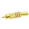 SPINA RCA DORATA ANELLO ROSSO CAVO 7 MM