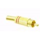 SPINA RCA DORATA ANELLO ROSSO CAVO 6 MM