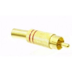 SPINA RCA DORATA ANELLO ROSSO CAVO 6 MM