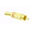 SPINA RCA DORATA ANELLO ROSSO CAVO 6 MM
