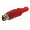 PRESA RCA IN PVC ROSSA PROFESSIONALE