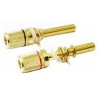 MORSETTI PER CASSE PROFESSIONALI DORATI D12X54MM R/N 2 PEZZI