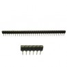 CONNETTORE STRIP LINE A TULIPANO C.S. 32 PIN P2,54