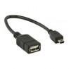 CAVO OTG MINI USB/B MASCHIO AD USB/A FEMMINA