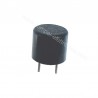 FUSIBILE A CONDENSATORE RITARDATO T0,315 250Vac